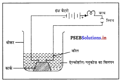 PSEB 10th Class Science Solutions Chapter 2 अम्ल, क्षारक एवं लवण 1