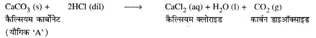 PSEB 10th Class Science Solutions Chapter 2 अम्ल, क्षारक एवं लवण 5