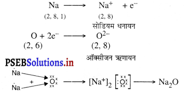PSEB 10th Class Science Solutions Chapter 3 धातु एवं अधातु 9