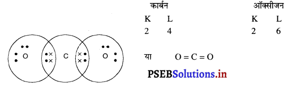 PSEB 10th Class Science Solutions Chapter 4 कार्बन एवं उसके यौगिक 12