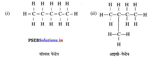 PSEB 10th Class Science Solutions Chapter 4 कार्बन एवं उसके यौगिक 16
