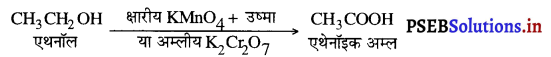 PSEB 10th Class Science Solutions Chapter 4 कार्बन एवं उसके यौगिक 25