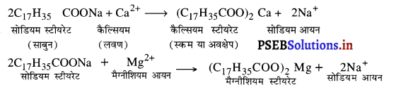 PSEB 10th Class Science Solutions Chapter 4 कार्बन एवं उसके यौगिक 7