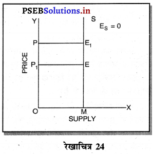 PSEB 11th Class Economics Solutions Chapter 11 पूर्ति तथा कीमत पूर्ति की लोच 35