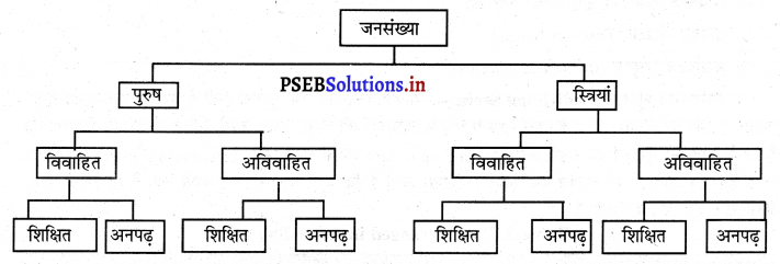 PSEB 11th Class Economics Solutions Chapter 17 आंकड़ों का व्यवस्थिकरण 14