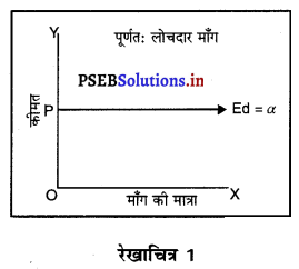 PSEB 11th Class Economics Solutions Chapter 6 कीमत मांग की लोच 1