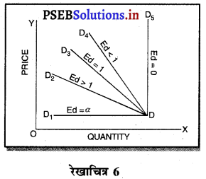 PSEB 11th Class Economics Solutions Chapter 6 कीमत मांग की लोच 13