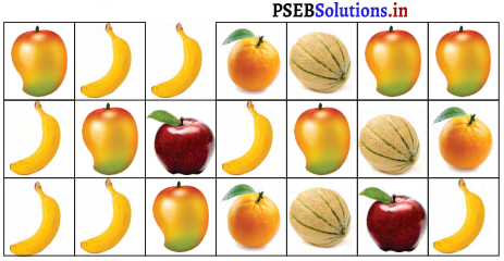 PSEB 3rd Class Maths Solutions Chapter 10 Data Handling 13