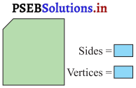 PSEB 3rd Class Maths Solutions Chapter 6 Shapes 11