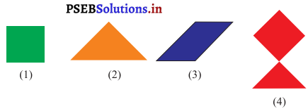 PSEB 3rd Class Maths Solutions Chapter 6 Shapes 17