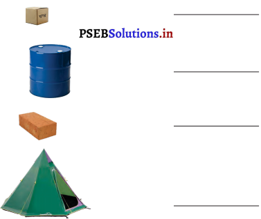 PSEB 3rd Class Maths Solutions Chapter 6 Shapes 3