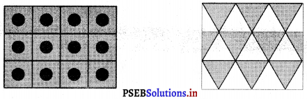 PSEB 3rd Class Maths Solutions Chapter 6 आकृतियाँ 11
