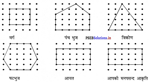 PSEB 3rd Class Maths Solutions Chapter 6 आकृतियाँ 5