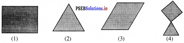 PSEB 3rd Class Maths Solutions Chapter 6 आकृतियाँ 9