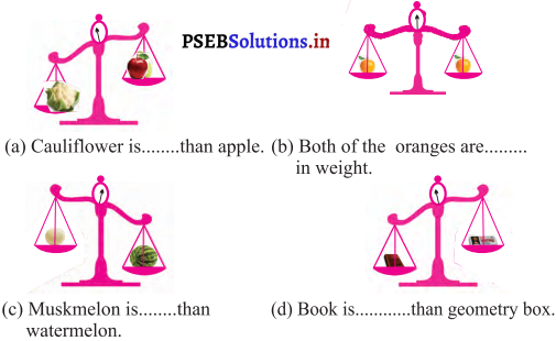 PSEB 3rd Class Maths Solutions Chapter 8 Measurement 17