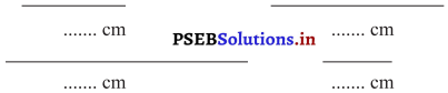 PSEB 3rd Class Maths Solutions Chapter 8 Measurement 5