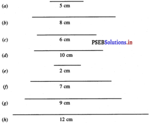 PSEB 3rd Class Maths Solutions Chapter 8 Measurement – PSEB Solutions