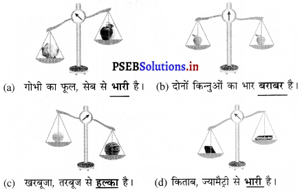 PSEB 3rd Class Maths Solutions Chapter 8 माप 12