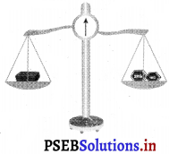 PSEB 3rd Class Maths Solutions Chapter 8 माप 14