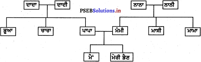 PSEB 4th Class EVS Solutions Chapter 1 ਬੇਟੀ ਆਈ ਖ਼ੁਸ਼ੀ ਲਿਆਈ 2
