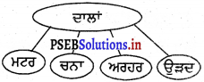 PSEB 4th Class EVS Solutions Chapter 10 ਖੇਤ ਤੋਂ ਘਰ ਤਕ 6