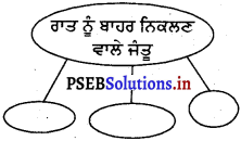 PSEB 4th Class EVS Solutions Chapter 14 ਜੀਵ-ਜੰਤੂਆਂ ਦਾ ਆਵਾਸ 3