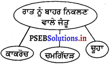 PSEB 4th Class EVS Solutions Chapter 14 ਜੀਵ-ਜੰਤੂਆਂ ਦਾ ਆਵਾਸ 4