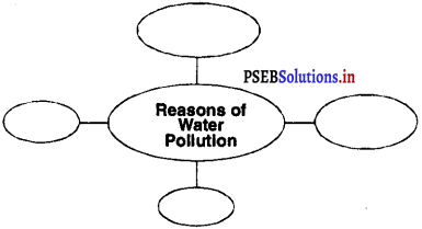 PSEB 4th Class EVS Solutions Chapter 17 Water Pollution 1