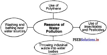 PSEB 4th Class EVS Solutions Chapter 17 Water Pollution 2