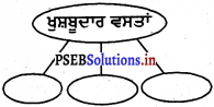 PSEB 4th Class EVS Solutions Chapter 2 ਪਾਰਕ ਦੀ ਸੈਰ 2