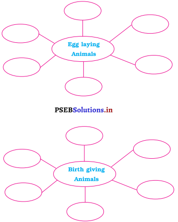 PSEB 4th Class EVS Solutions Chapter 5 World of Animals 2