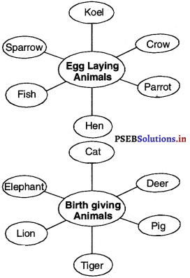 PSEB 4th Class EVS Solutions Chapter 5 World of Animals 3