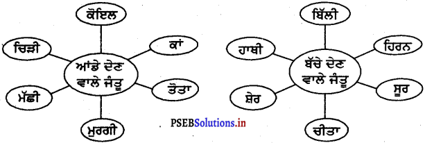 PSEB 4th Class EVS Solutions Chapter 5 ਜੰਤੂਆਂ ਦੀ ਦੁਨੀਆ 3