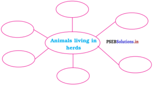 PSEB 4th Class EVS Solutions Chapter 6 Animals and Herds – PSEB Solutions