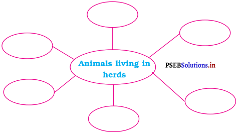 PSEB 4th Class EVS Solutions Chapter 6 Animals and Herds 2