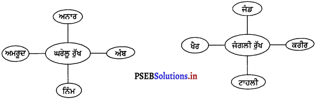 PSEB 4th Class EVS Solutions Chapter 9 ਰੁੱਖ ਦੇਣ ਸੁਖ 4