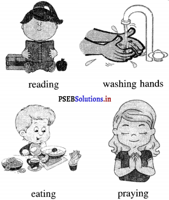 PSEB 4th Class English Solutions Chapter 1 The King and His Sons 11