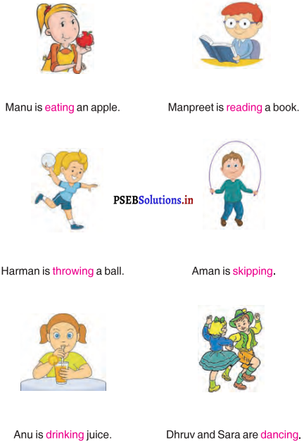 PSEB 4th Class English Solutions Chapter 3 Safety Rules 3