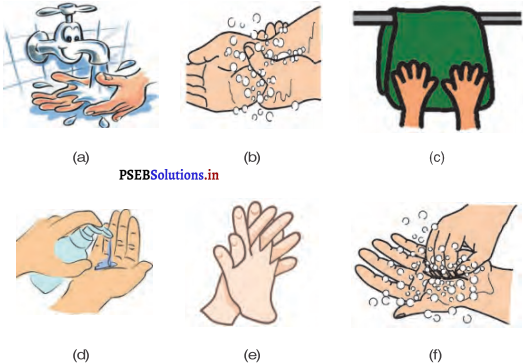 PSEB 4th Class English Solutions Chapter 6 Health in Our Hands 6