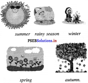 PSEB 4th Class English Solutions Chapter 7 Green Diwali, Safe Diwali 6