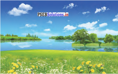 PSEB 4th Class English Solutions Chapter 8 Guru Nanak Dev Ji 4