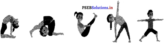 PSEB 4th Class Welcome Life Solutions Chapter 1 Health and Cleanlines 6