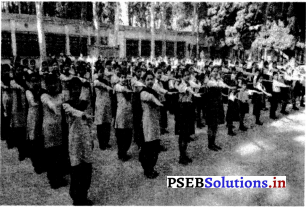 PSEB 4th Class Welcome Life Solutions Chapter 8 Self-Protection 2