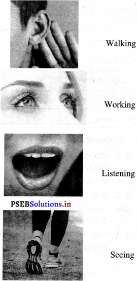 PSEB 4th Class Welcome Life Solutions Chapter 8 Self-Protection 3