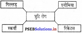 PSEB 5th Class EVS Solutions Chapter 13 त्रुटि रोग 2