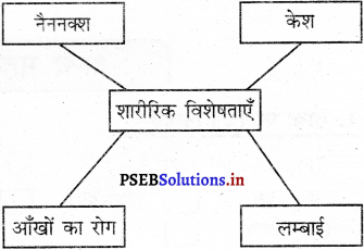 PSEB 5th Class EVS Solutions Chapter 3 पसंद अपनी-अपनी 4