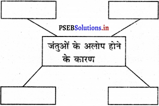 PSEB 5th Class EVS Solutions Chapter 6 धरती-हमारा भी घर 2