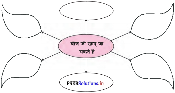 PSEB 5th Class EVS Solutions Chapter 8 बीज का सफर 2