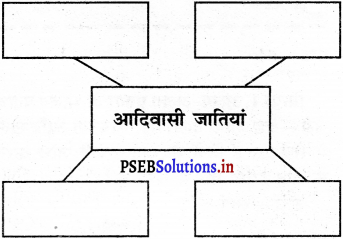 PSEB 5th Class EVS Solutions Chapter 9 जंगल और जीवन 3
