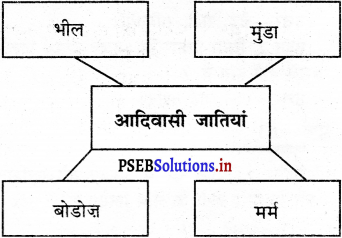 PSEB 5th Class EVS Solutions Chapter 9 जंगल और जीवन 4